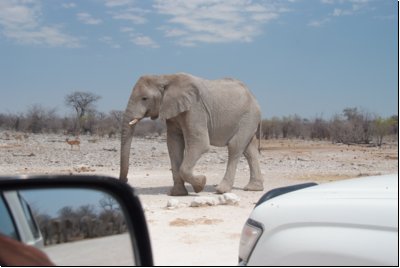 etosha2008bild026.jpg