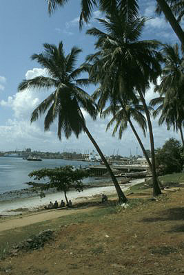 bild_gross_tanzania_001.jpg